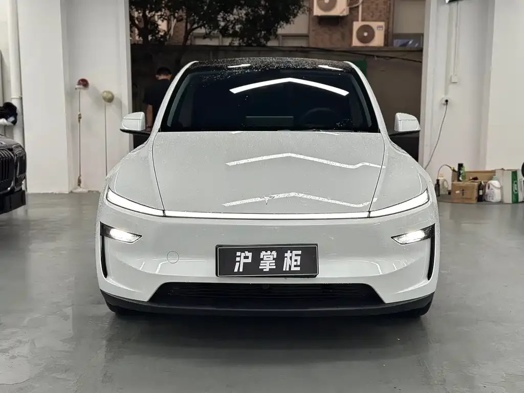 Tesla Model Y — фото 9
