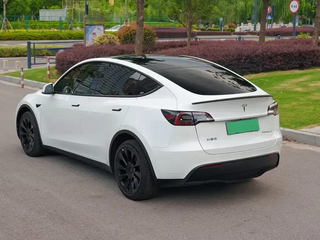 Tesla Model Y — фото 6