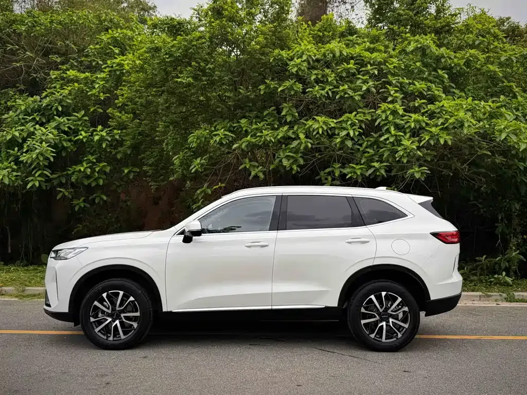 Haval H6 — фото 10