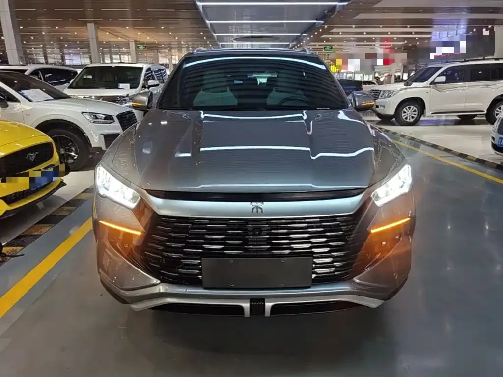 BYD Pro New Energy — фото 7