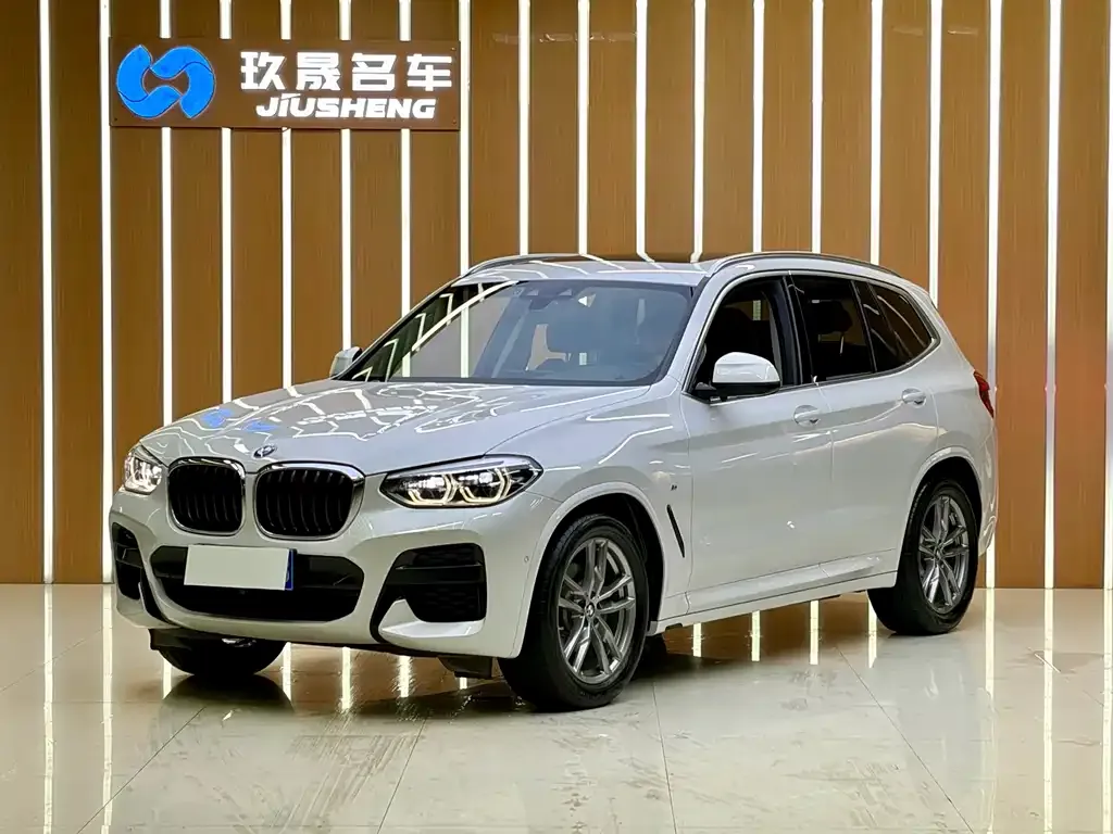 BMW X3 — фото 1