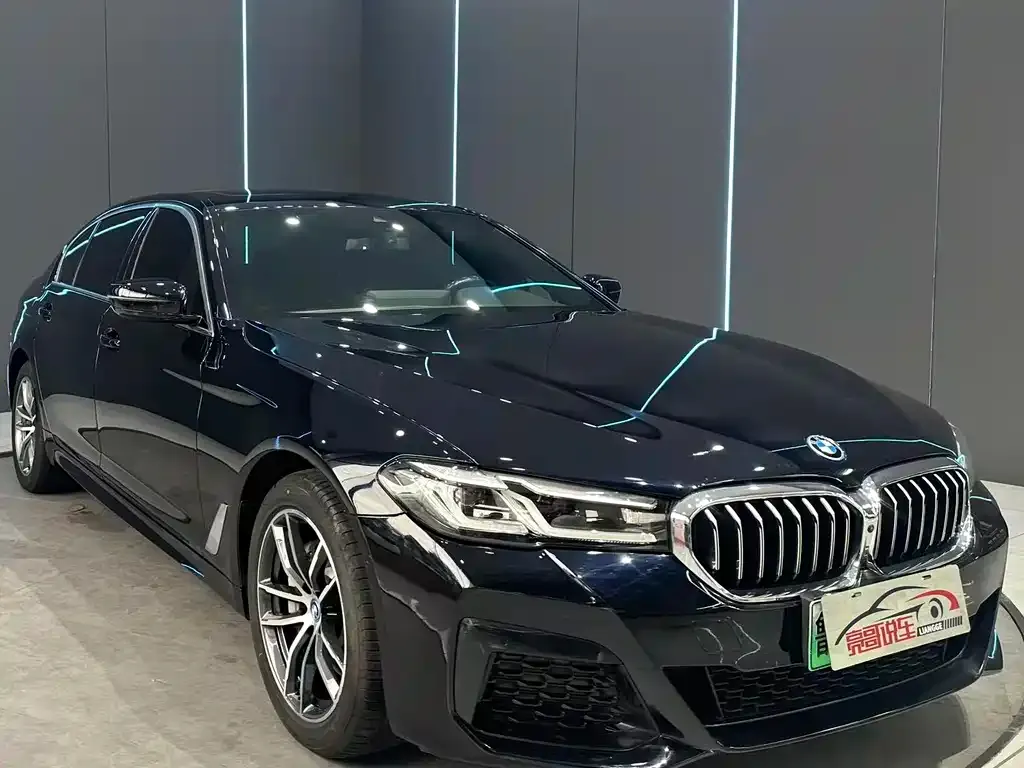 BMW 5 Series New Energy — фото 2