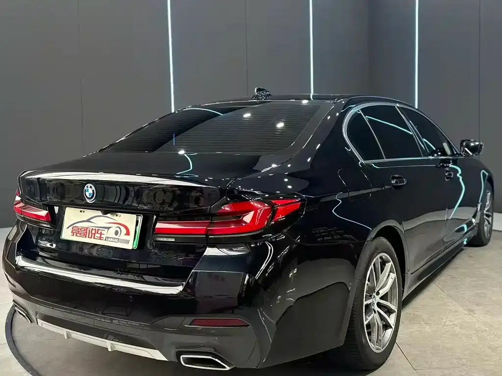 BMW 5 Series New Energy — фото 10