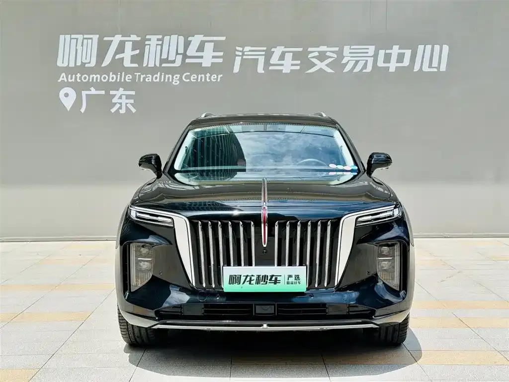 Hongqi E-HS9 — фото 9