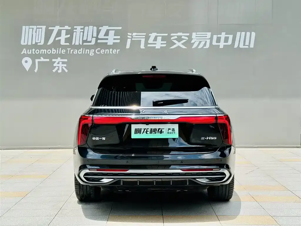 Hongqi E-HS9 — фото 2