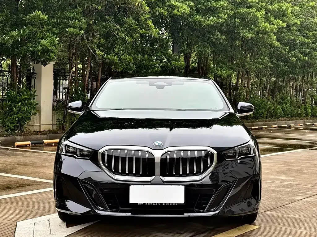 BMW 5 Series 2024 из CN, фото 9
