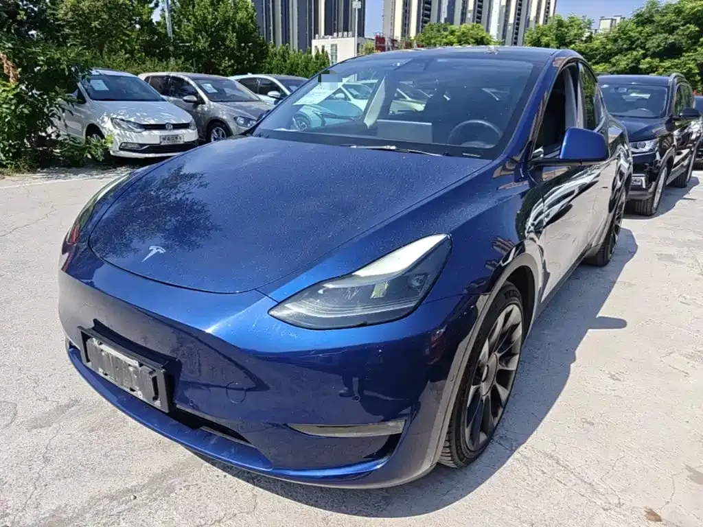 Tesla Model Y — фото 1
