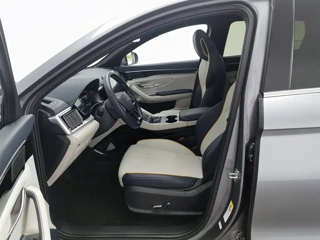BYD PLUS New Energy 2023 из CN, фото 5