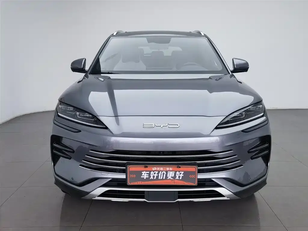 BYD PLUS New Energy 2023 из CN, фото 4
