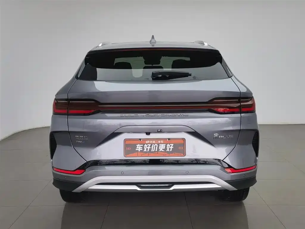BYD PLUS New Energy 2023 из CN, фото 8