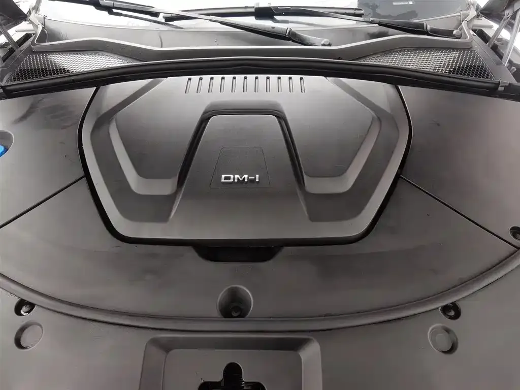 BYD PLUS New Energy 2023 из CN, фото 6
