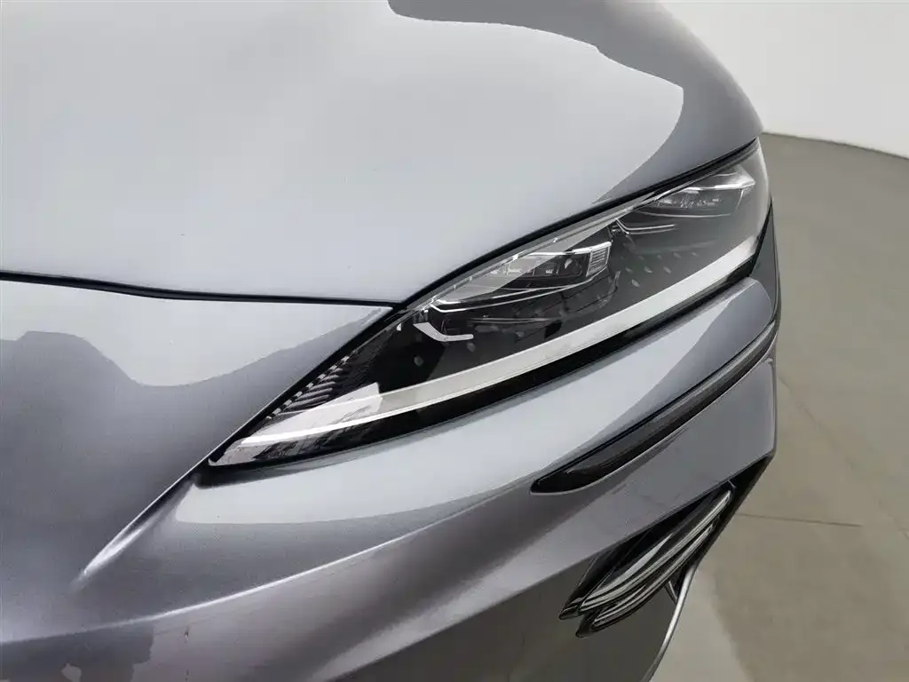 BYD PLUS New Energy 2023 из CN, фото 2