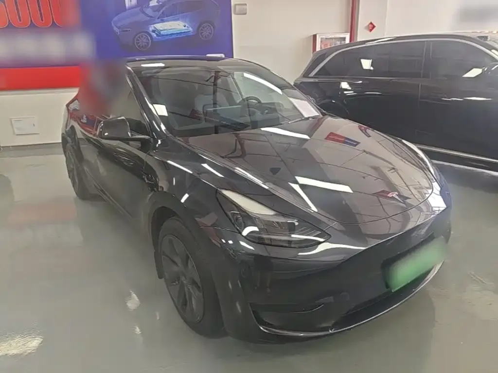 Tesla Model Y — фото 10