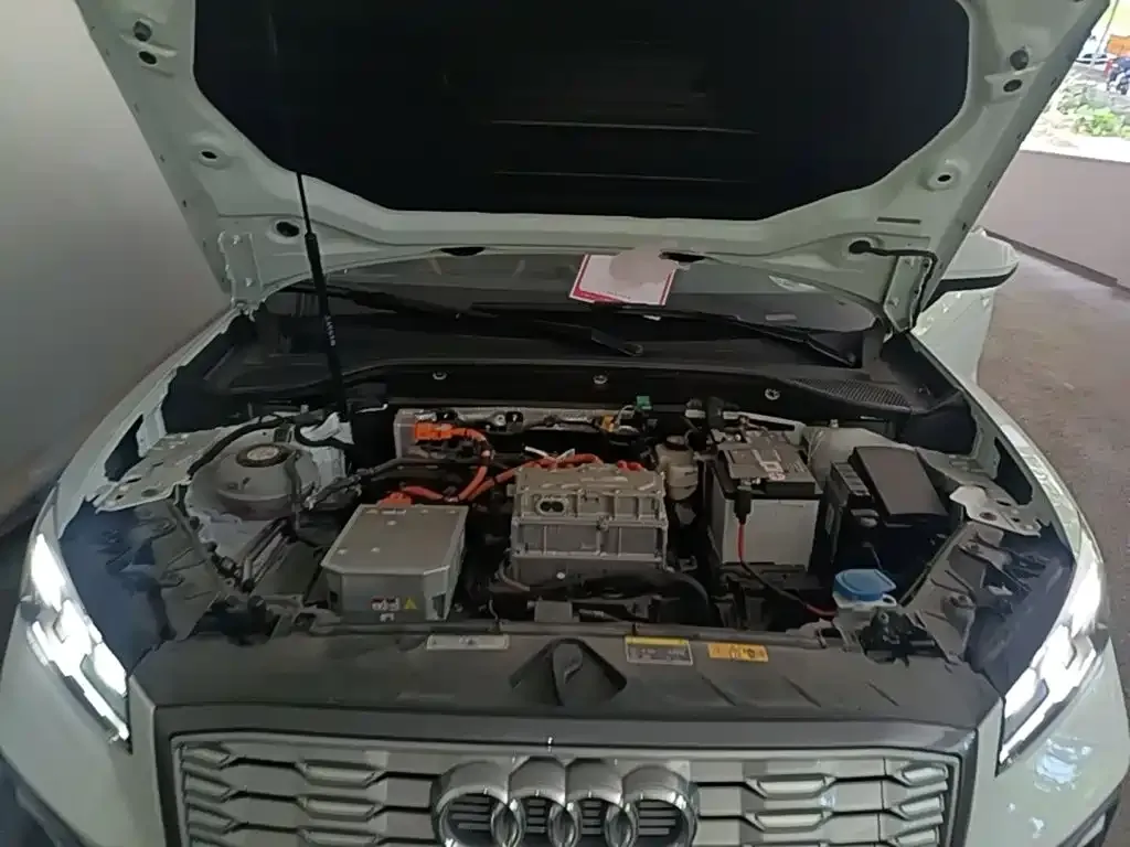 Audi Q2L e-tron 2022 из CN, фото 6