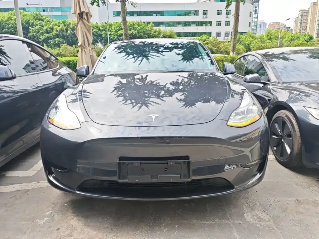 Tesla Model Y — фото 3