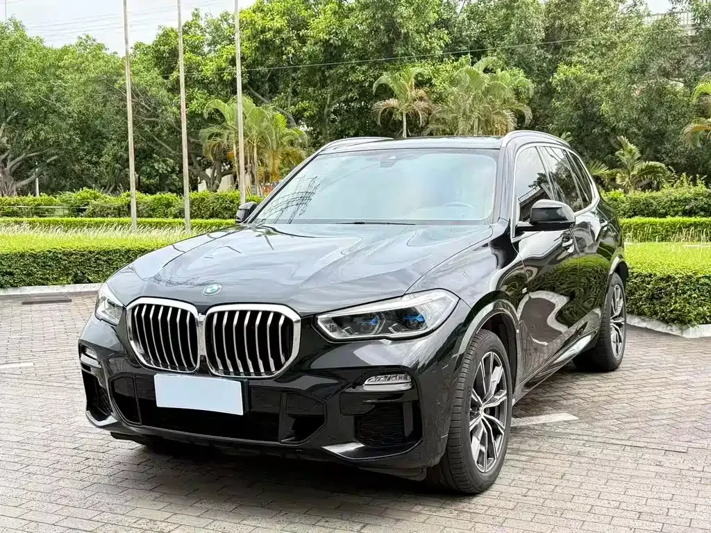BMW X5 (Import) — фото 1