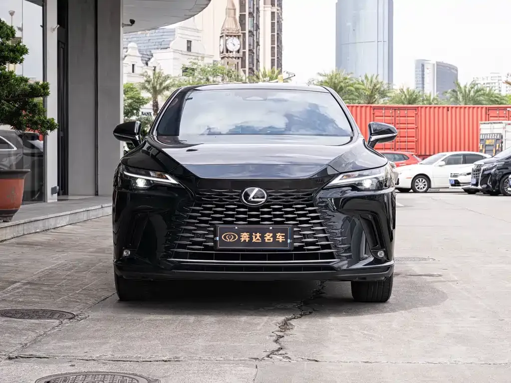 Lexus RX — фото 10