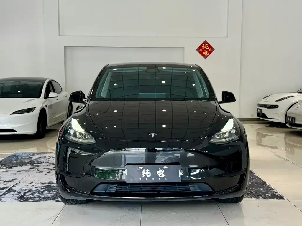 Tesla Model Y — фото 9