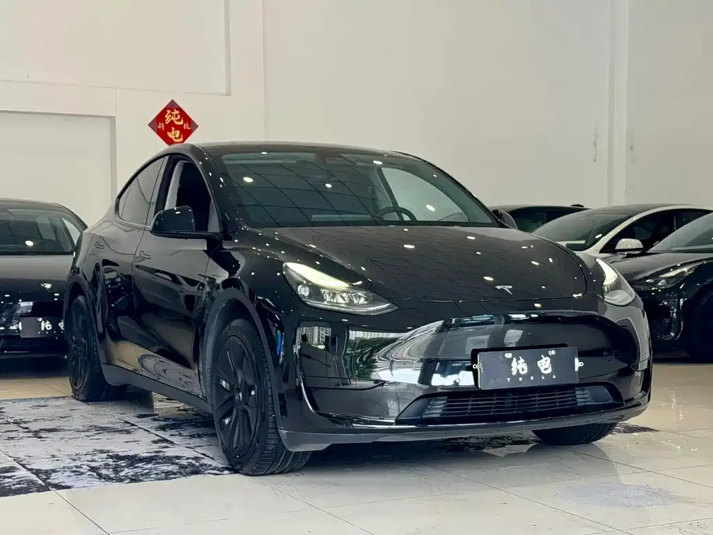 Tesla Model Y — фото 10