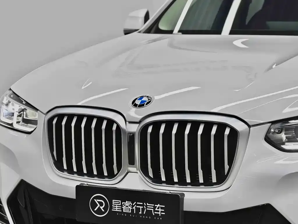 BMW X3 — фото 10