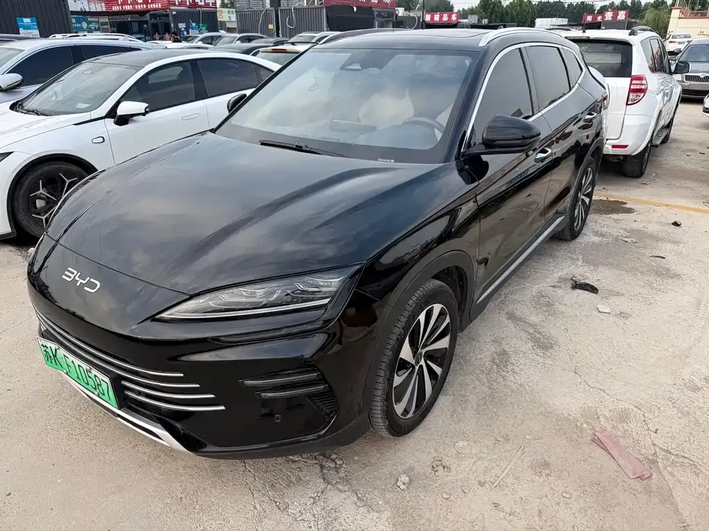BYD PLUS New Energy — фото 1