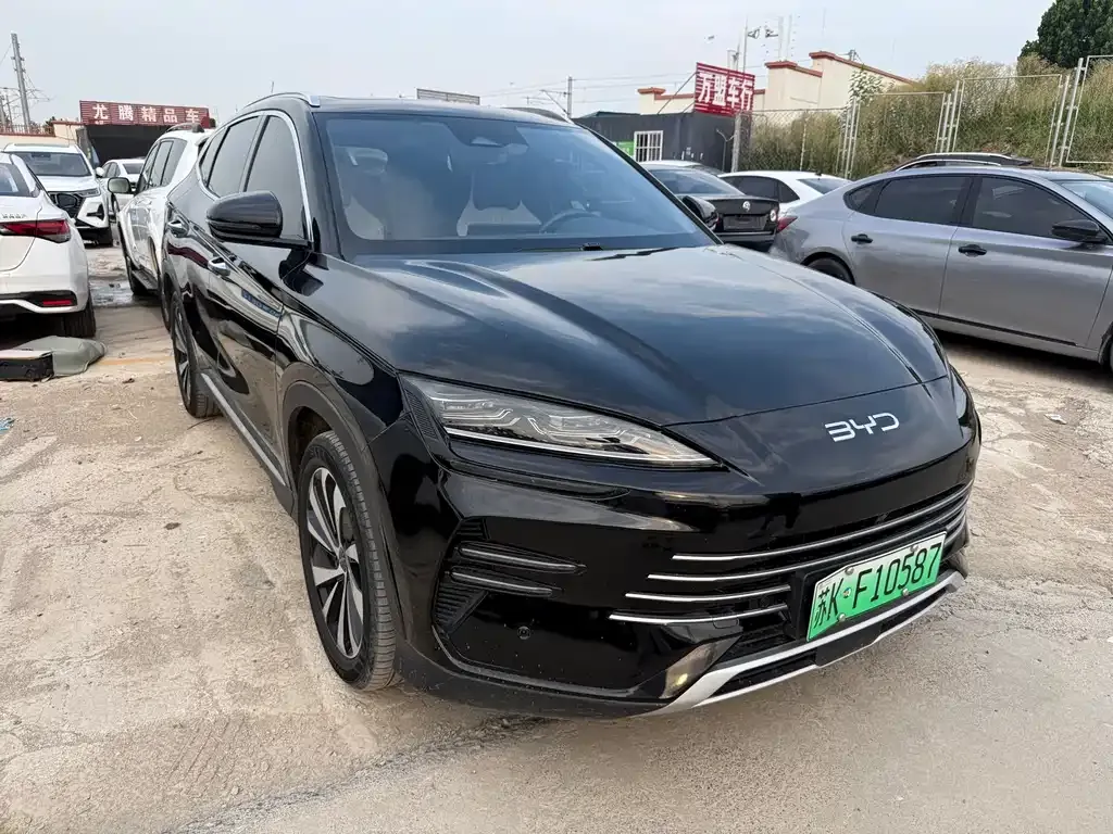 BYD PLUS New Energy — фото 8