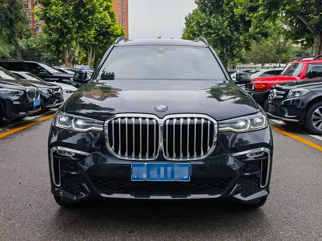BMW X7 — фото 10