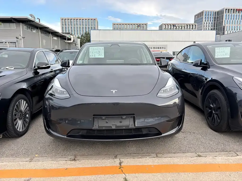 Tesla Model Y — фото 1