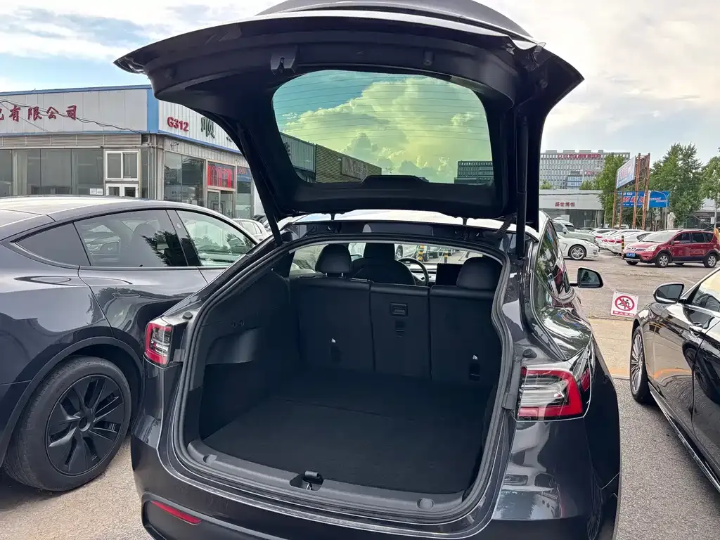Tesla Model Y — фото 3