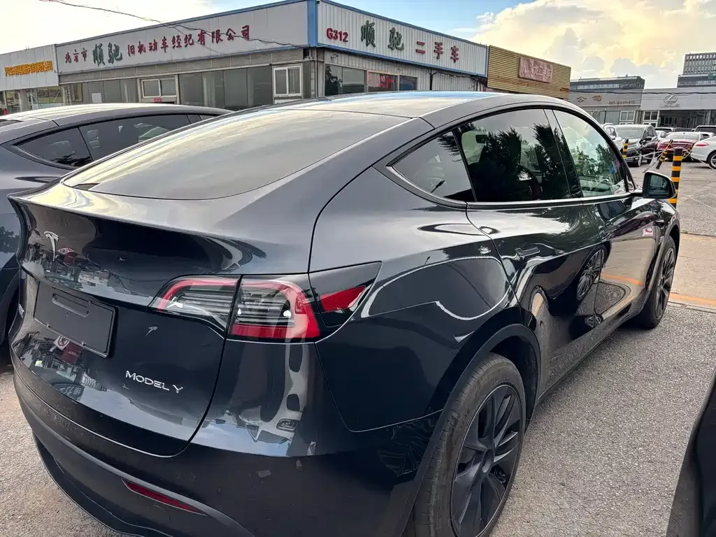 Tesla Model Y — фото 5