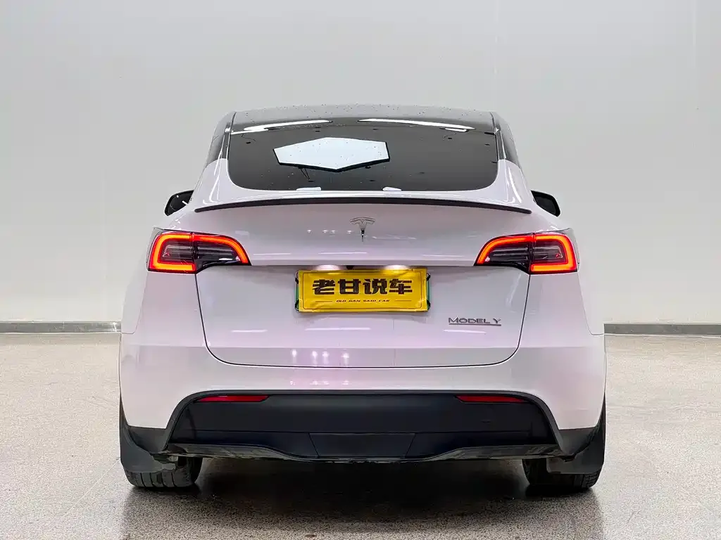 Tesla Model Y — фото 9
