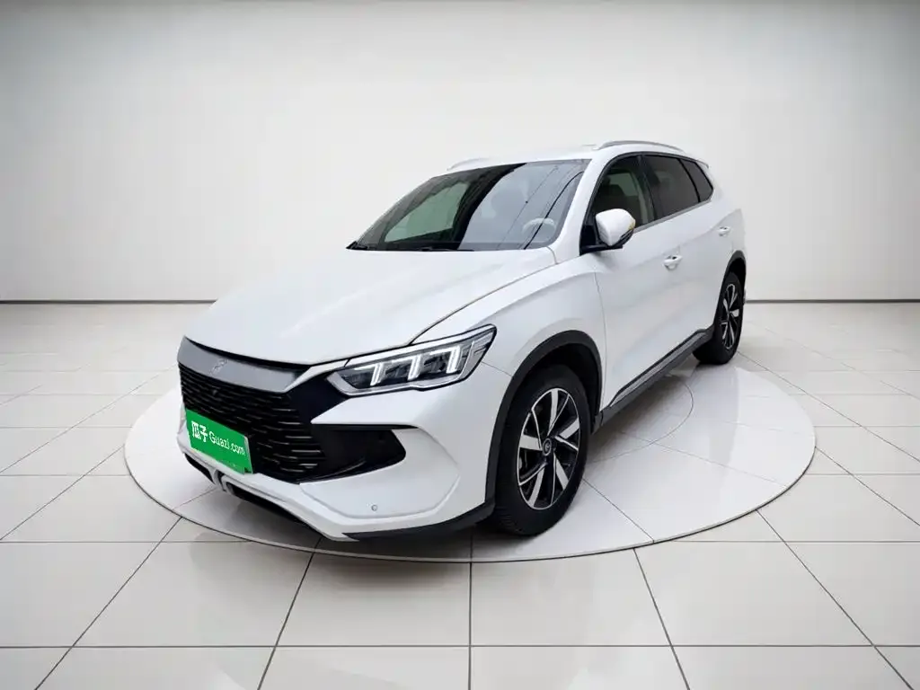 BYD Pro New Energy