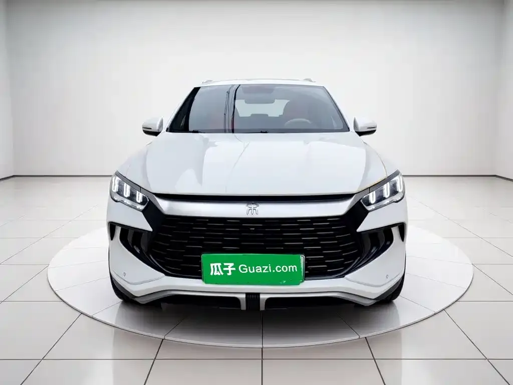 BYD Pro New Energy 2024 из CN, фото 5