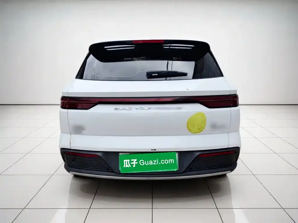 BYD Pro New Energy 2024 из CN, фото 3