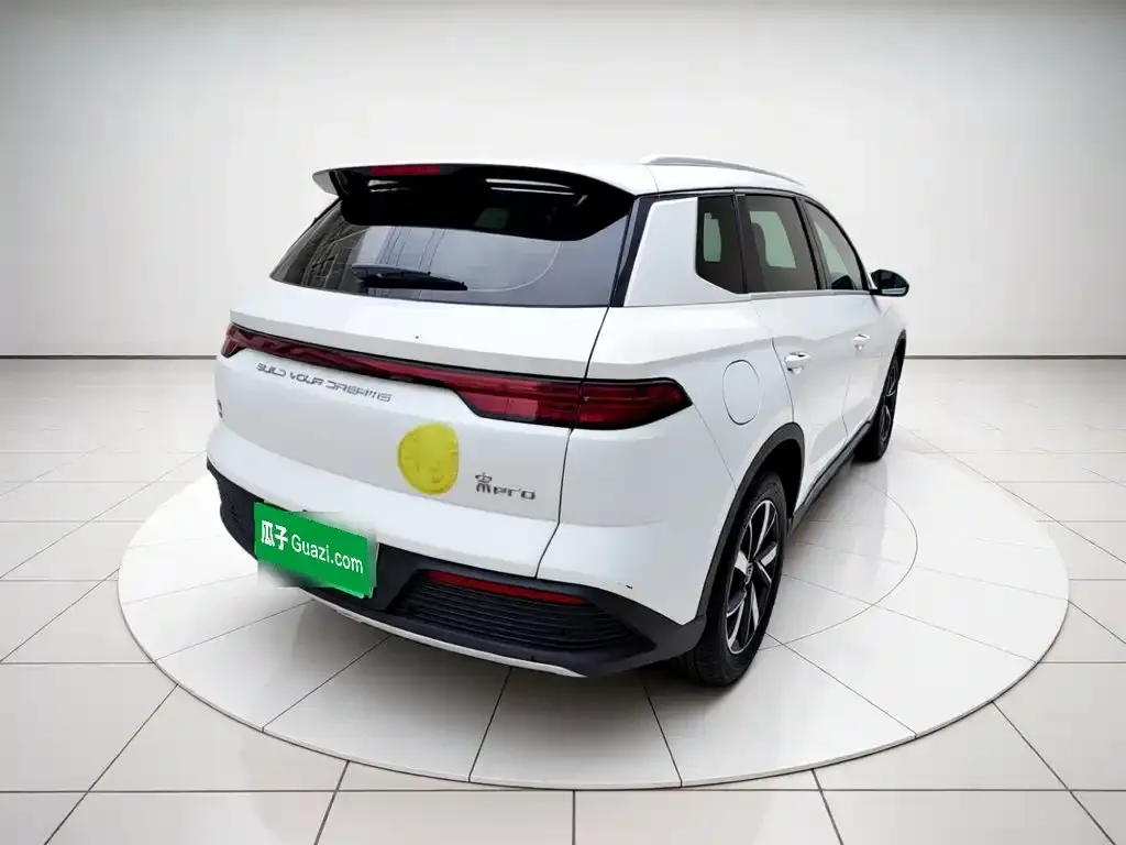 BYD Pro New Energy 2024 из CN, фото 2