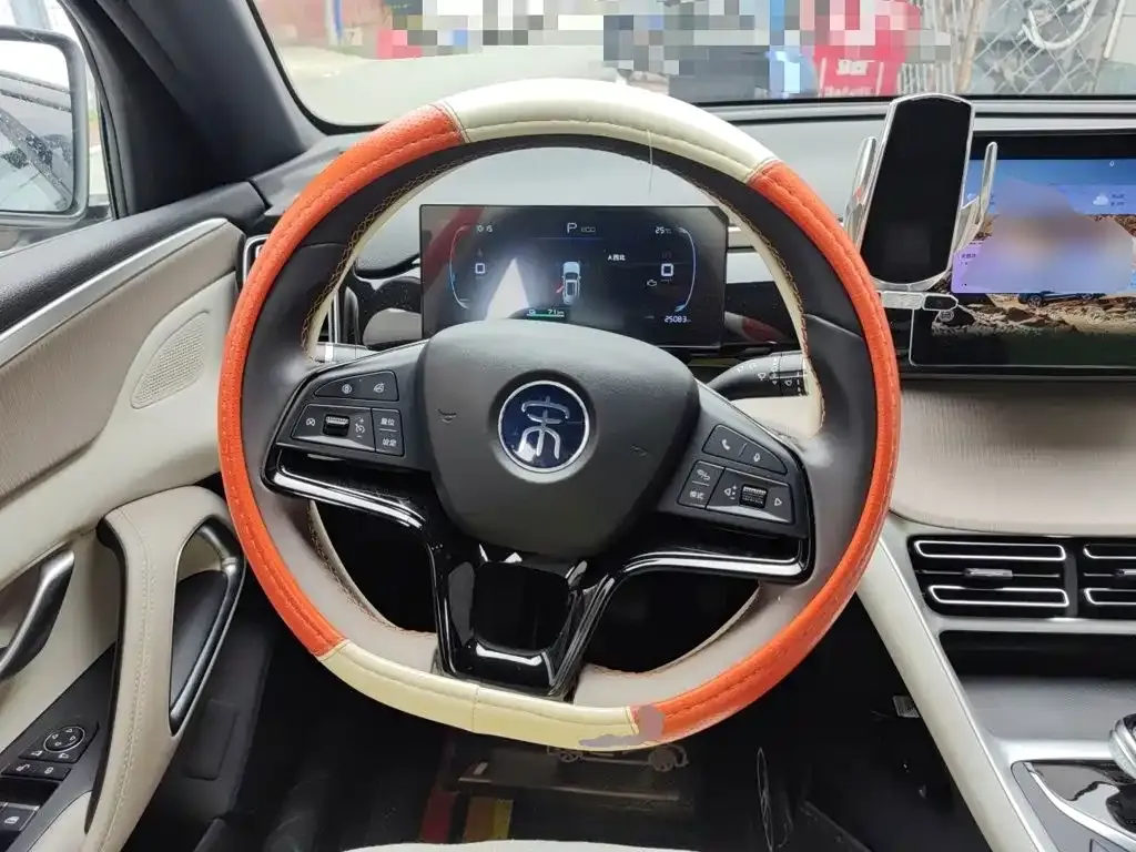 BYD Pro New Energy 2024 из CN, фото 7