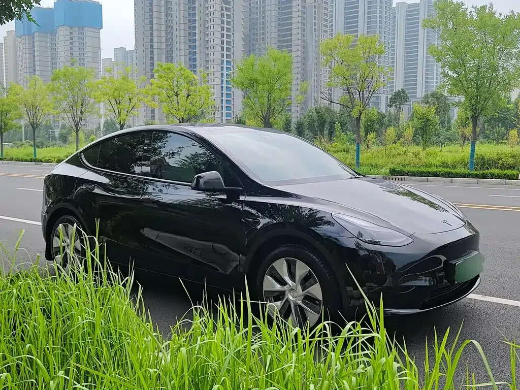 Tesla Model Y — фото 8
