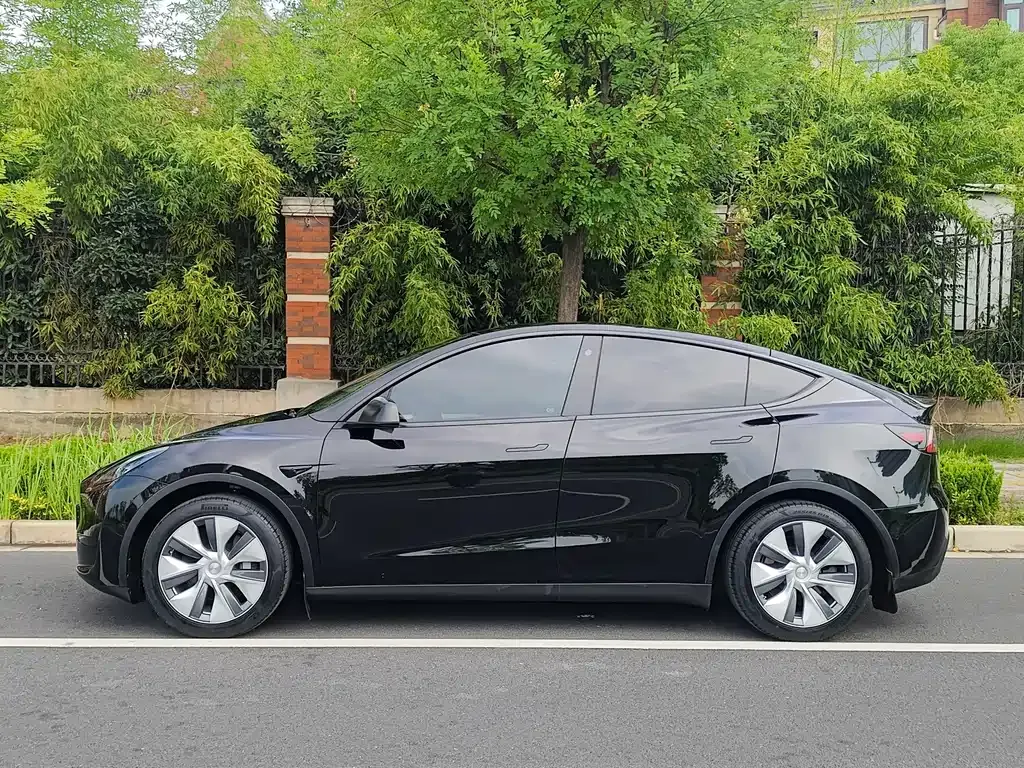 Tesla Model Y — фото 10