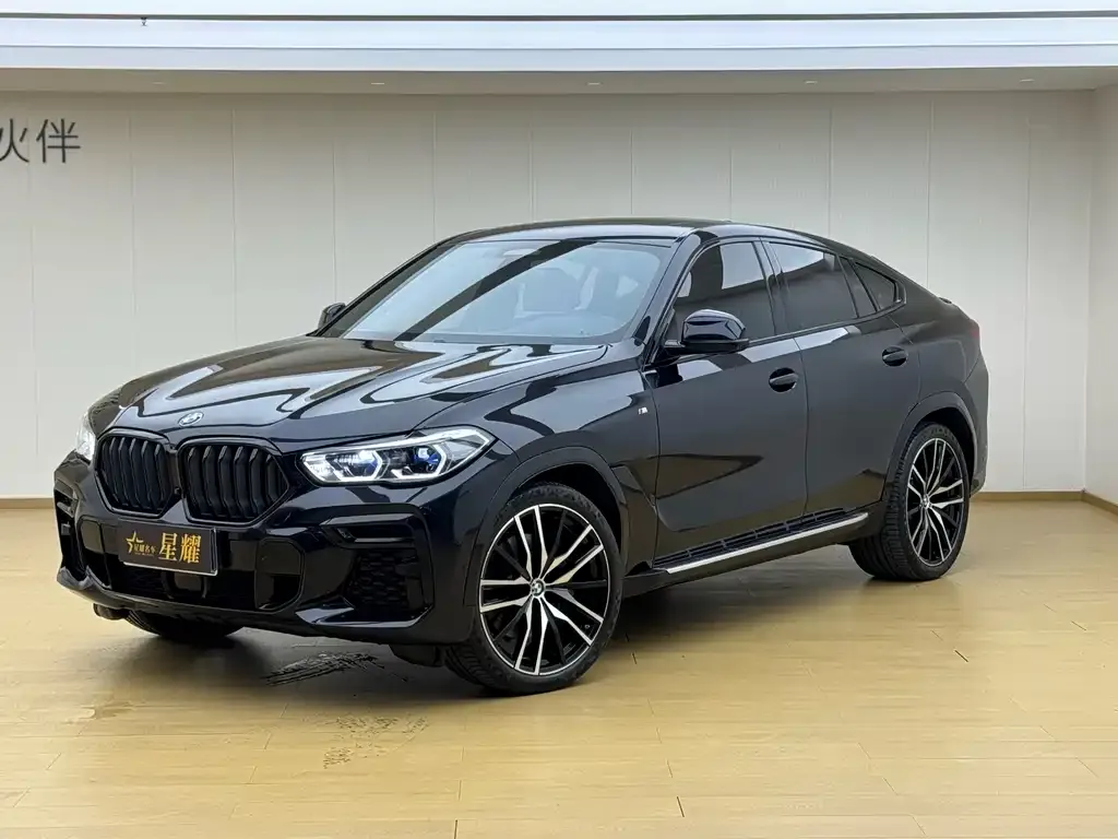 BMW X6 — фото 6