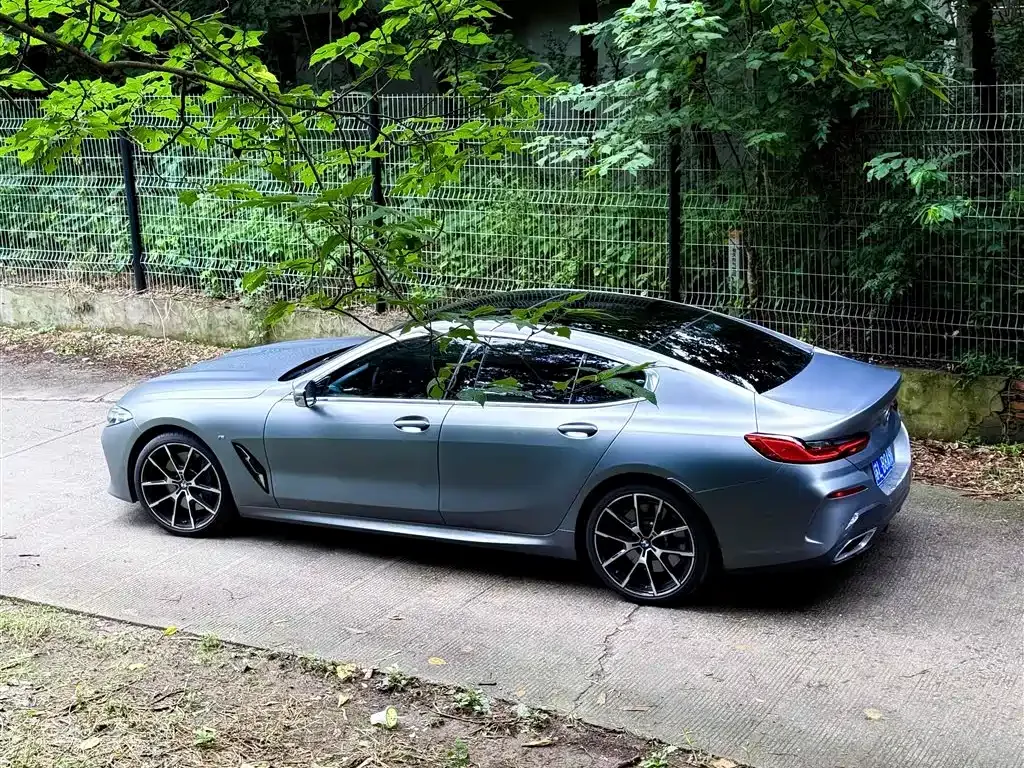 BMW 8 Series — фото 10