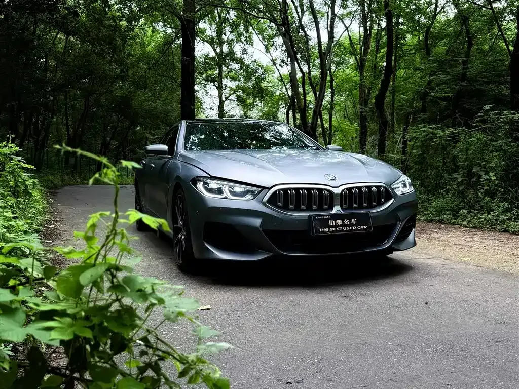 BMW 8 Series — фото 9