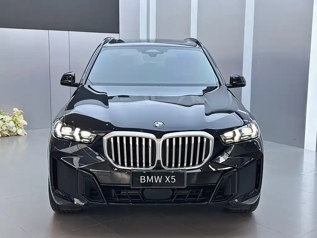 BMW X5 — фото 7