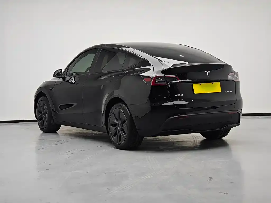 Tesla Model Y — фото 5