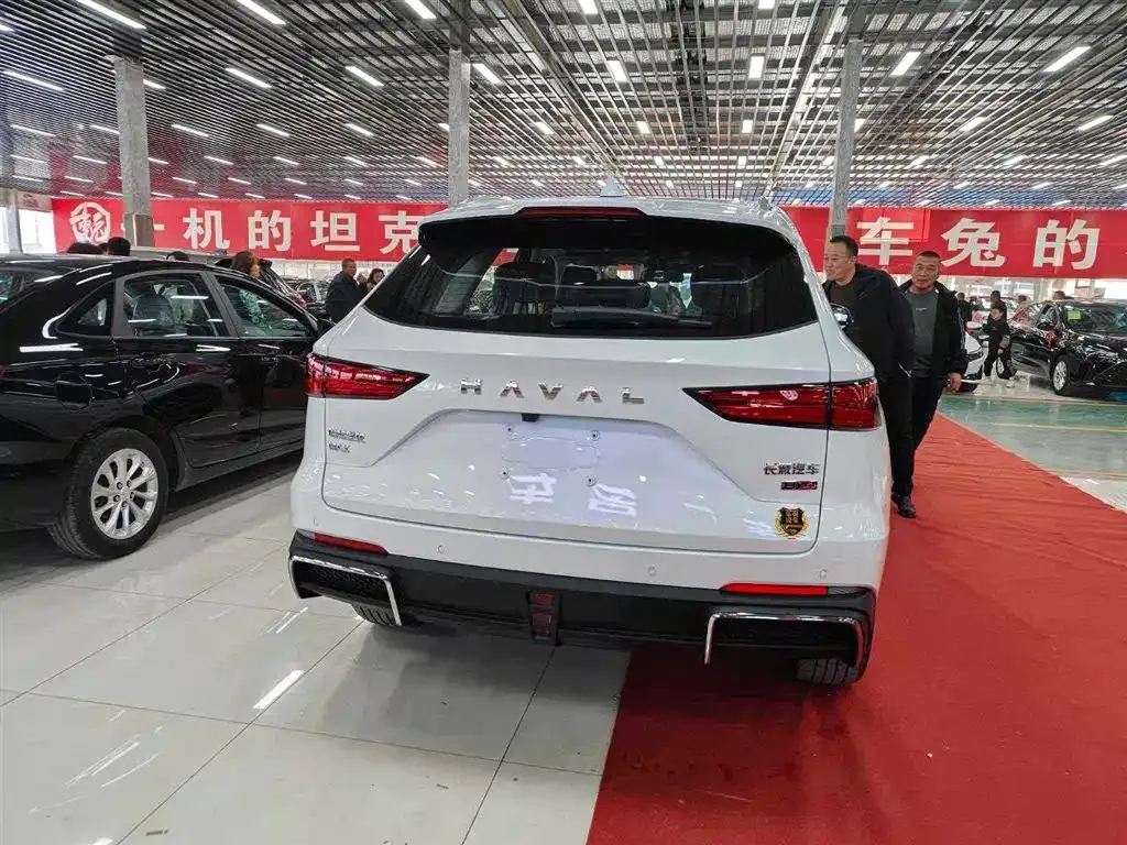 Haval Xiaolong MAX 2025 из CN, фото 4