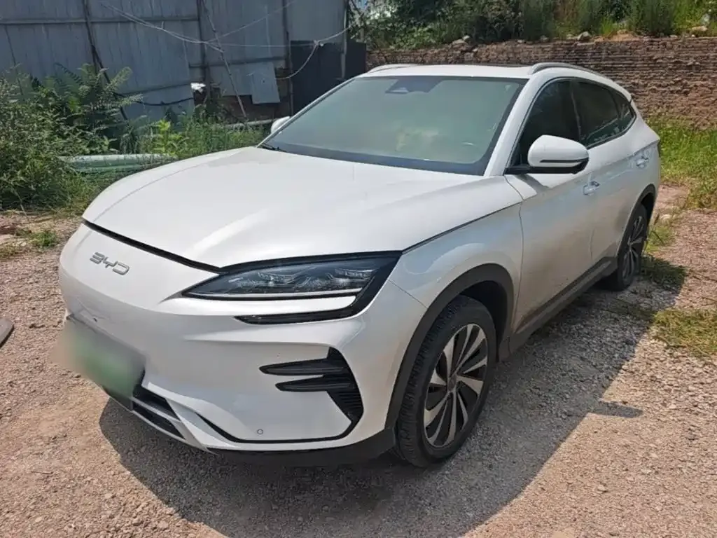 BYD PLUS New Energy — фото 8