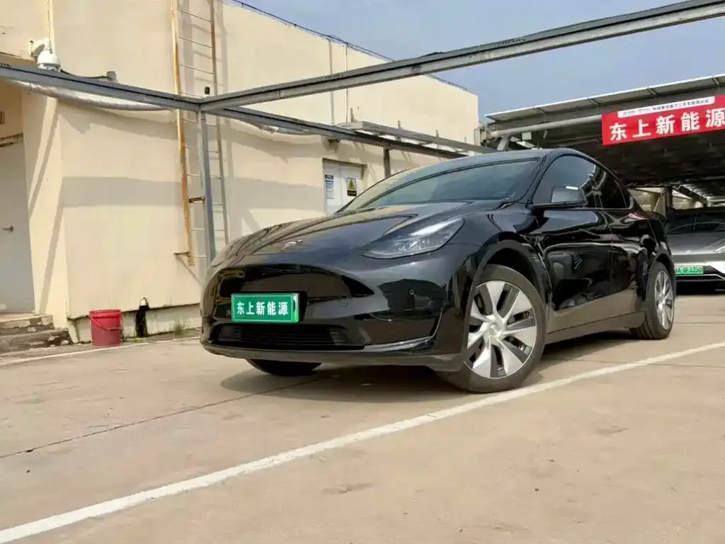 Tesla Model Y — фото 1