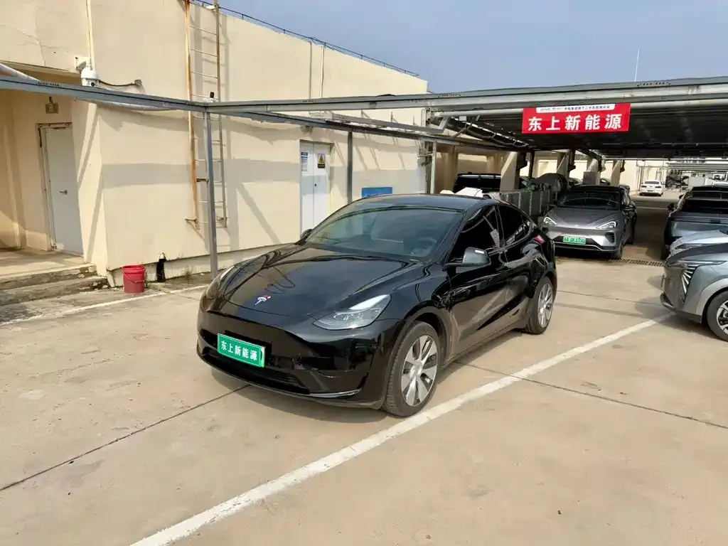 Tesla Model Y — фото 8