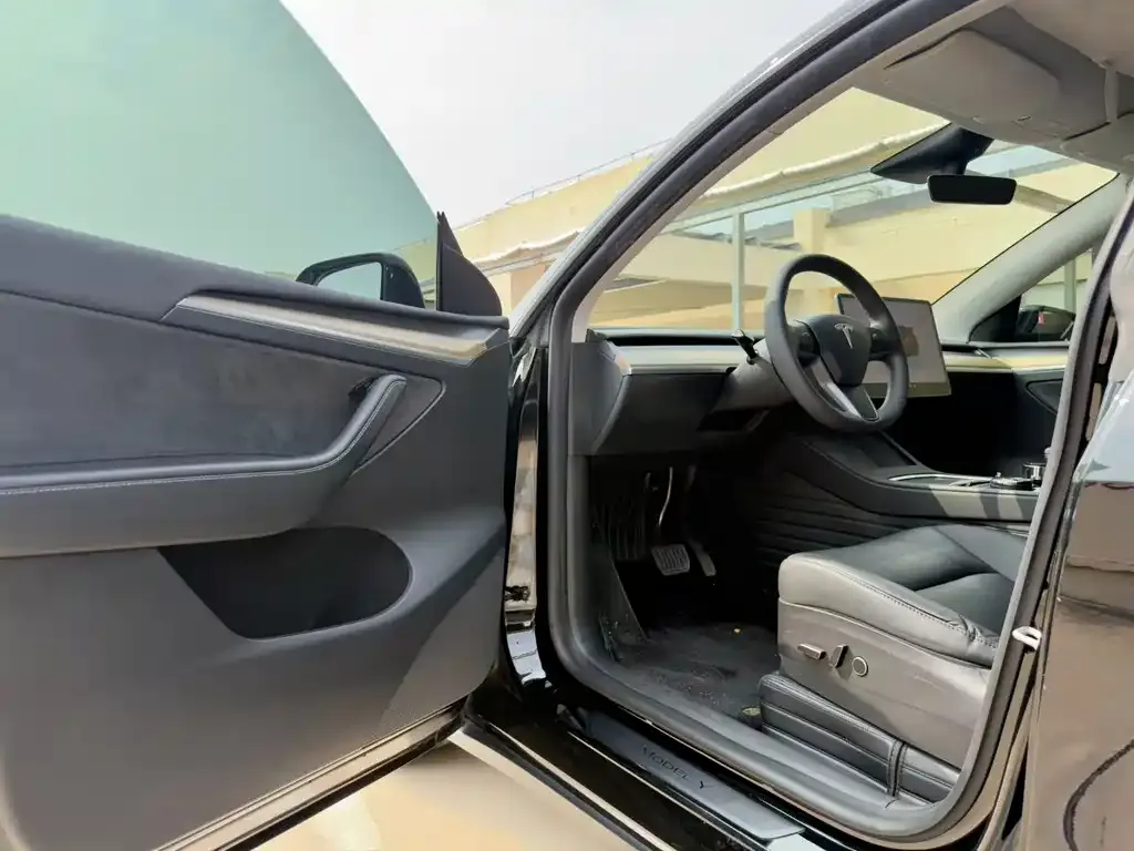 Tesla Model Y — фото 6