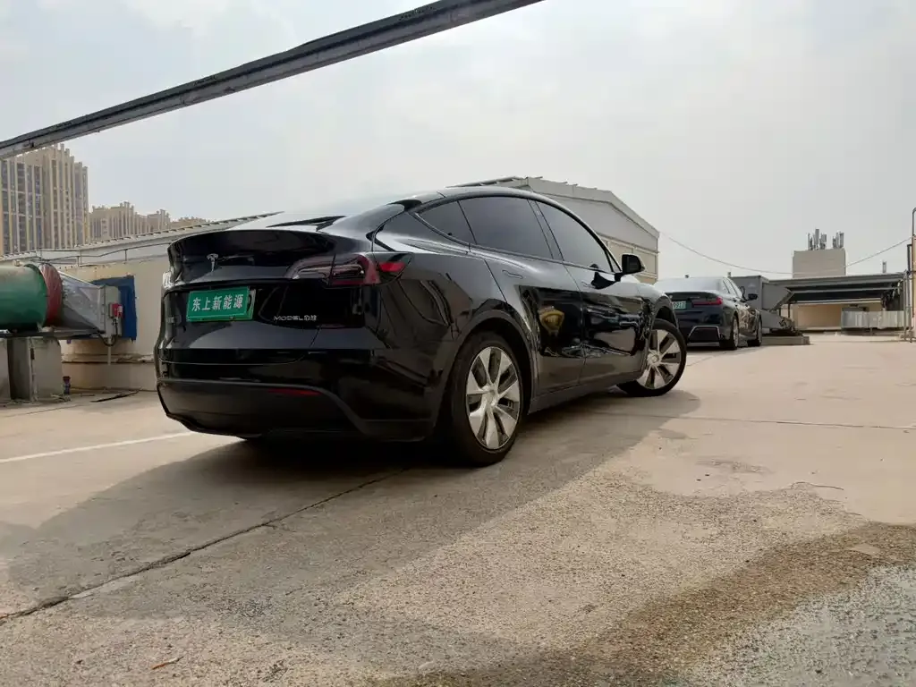 Tesla Model Y — фото 7