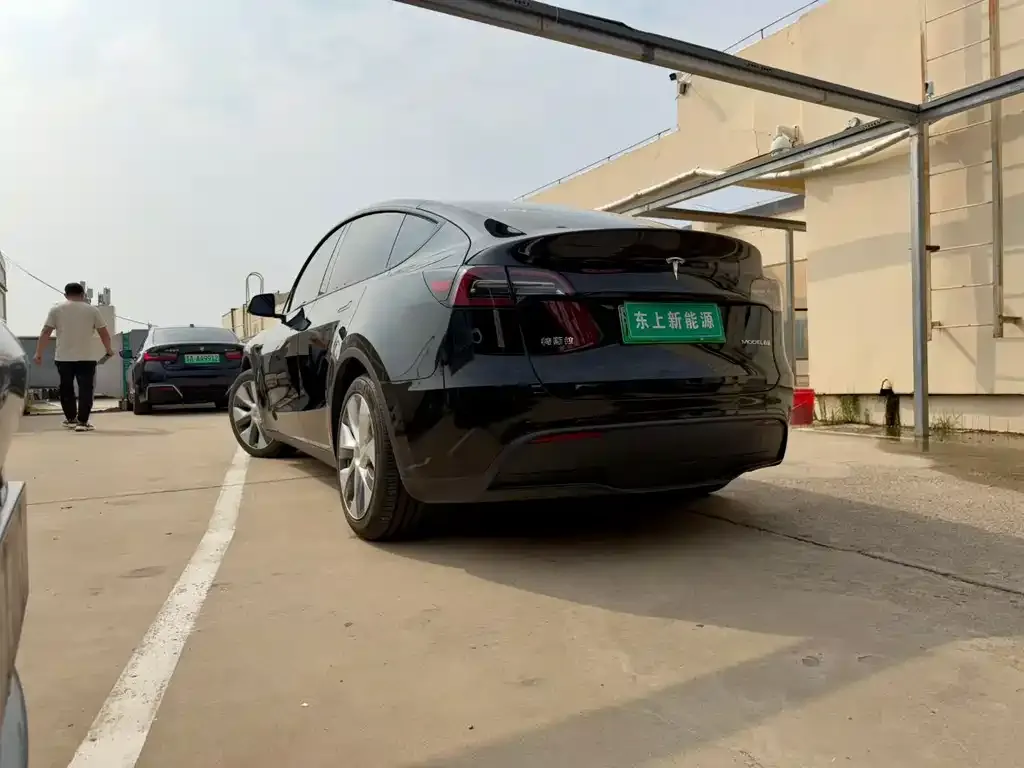 Tesla Model Y — фото 2